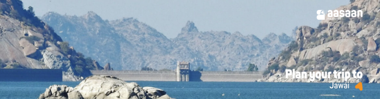 jawai