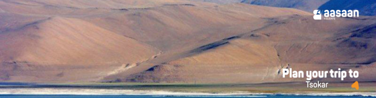 tsokar