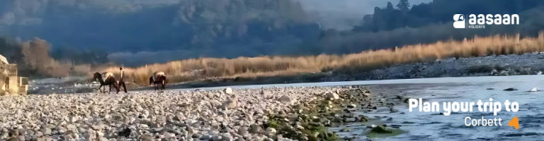 corbett