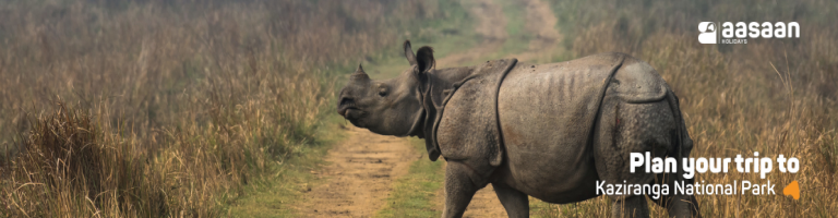 kaziranga national park
