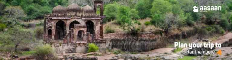 ranthambore