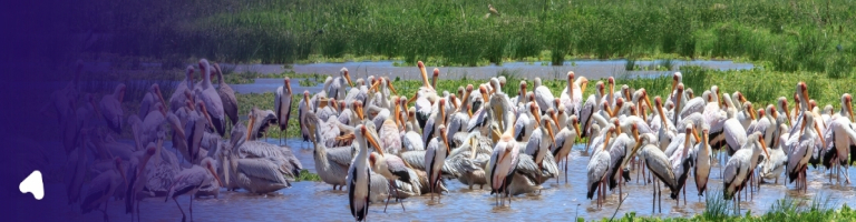 lake manyara