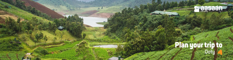 ooty