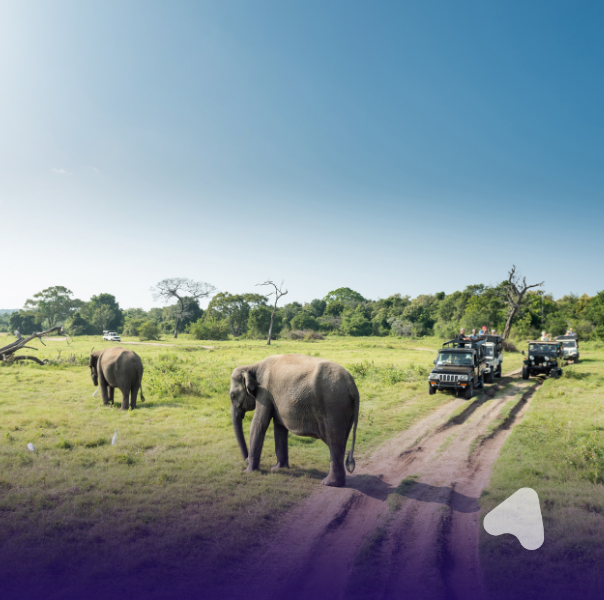 Wildlife